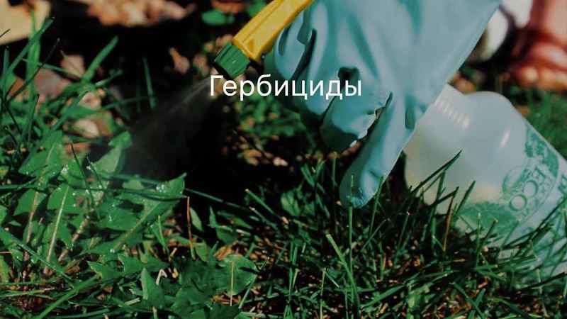 Постер Гербициды для канав и прудов