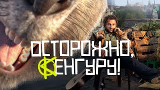 Постер Осторожно, Кенгуру! / Kangaroo Chronicles (2020) / Комедия